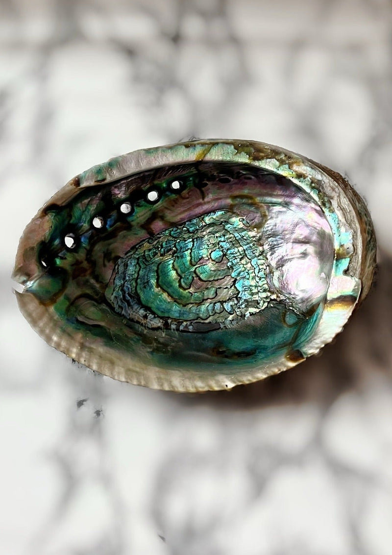 Abalone Shell - Large Beautiful abalone shell, perfect for holding sacred treasures or for use as a smudging burner.  Smudging Ritual:  Light your smudging tool of choice (sacred sage, holy palo santo or whatever you choose) and after smudging yourself and your space according to your own ritual, place it into the shell and let it continue burn out.  Approximately 18cm